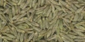 Cumin Seed