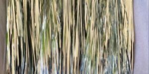 Silver Badla Zari Stripes