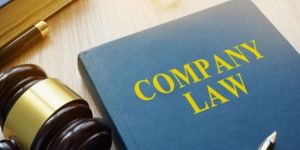 Company Law Matters