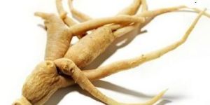 Ashwagandha Roots