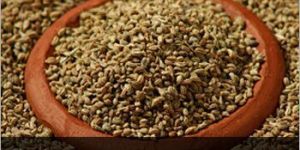Ajwain