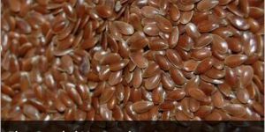 Flax Seeds