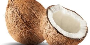 Coconut