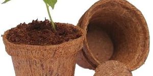Coir Pot