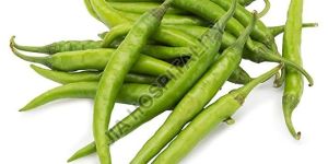Fresh Green Chilli
