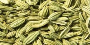 Fennel Seeds