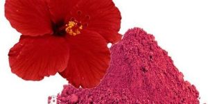 Hibiscus Powder