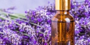 Lavender Oil