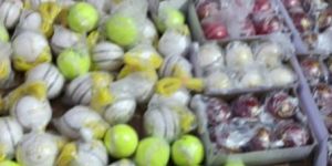Leather Cricket Balls