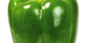 Green Capsicum