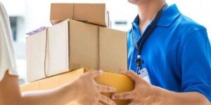 Domestic Courier Services