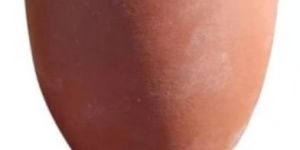 Terracotta Water Glass