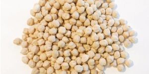 Chickpeas Whole - Pulses