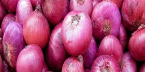 Red Onion