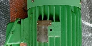 Marine Electric Motor