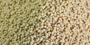 Urad Dal