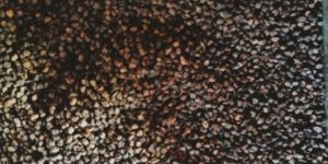 De Oiled Cardamom Seeds