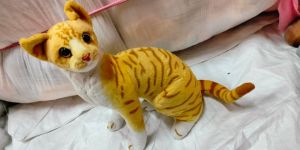 Cat Soft Toy