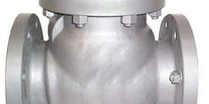 Stainless Steel Check Valve