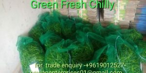 Fresh Green Chilli