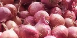 Red Onion