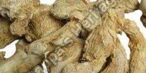 Dried Ginger