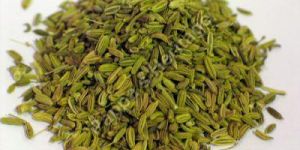 Fennel Seeds