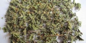 Dried Tulsi Leaves