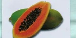 Green Berry F1 Hybrid Papaya Seeds