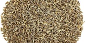 Cumin Seeds