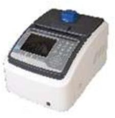 Gradient Thermal Cycler