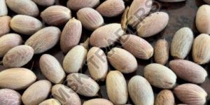 Malaysian Lindi Supari
