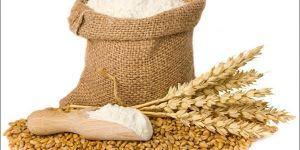 Sanjeevani Cooled Wheat Flour