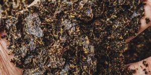 Sanjeevani Expeller Black Mustard Cake