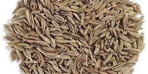 Cumin Seeds