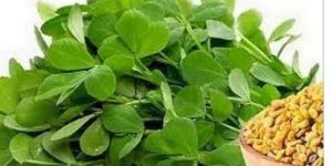 Fenugreek Leaves Juice