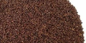 Dried Brown Sesame Seeds