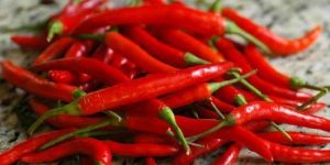 Fresh Red Chili
