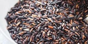 Indian Black Sticky Rice