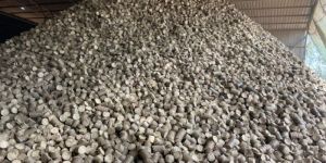 Agro Waste Briquette