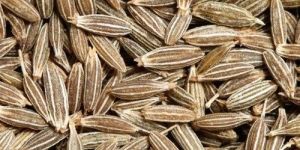 Cumin Seeds