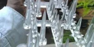Monkey Spikes