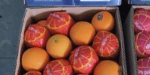 Natural Malta Orange