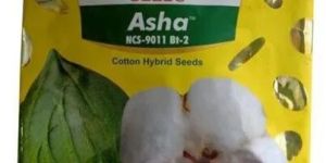 Hybrid Cotton Seeds