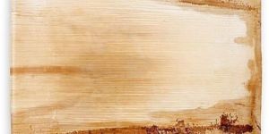 SSP4 Areca Leaf Square Plate