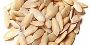 Cucumber Seeds