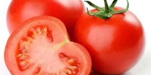 Fresh Tomato