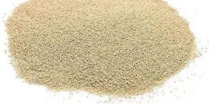 Yeast Powder