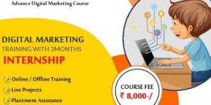 Digital Marketing Training