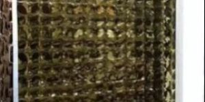 Decorative Mirror Design Stainless Steel Sheet